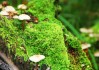 世界举重公开赛赛后科研成果转化项目首批商业示范样板取得运行成效
