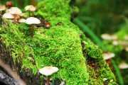 世界举重公开赛赛后科研成果转化项目首批商业示范样板取得运行成效
