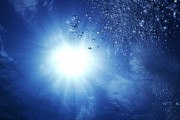 世界举重公开赛选手营养与恢复研讨会举行，世界举重锦标赛
