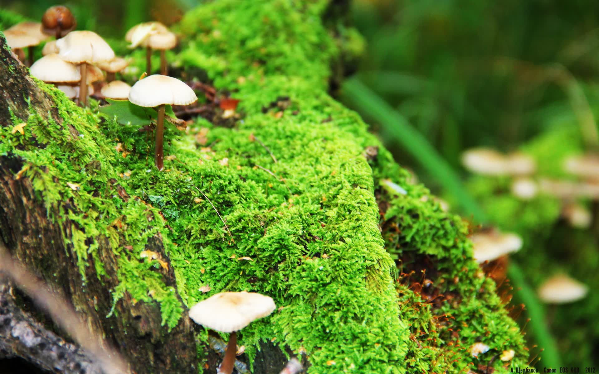 世界举重公开赛赛后科研成果转化项目首批商业示范样板取得运行成效